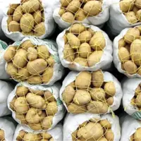 کاهش قیمت سیب‌زمینی و پیاز در بازار