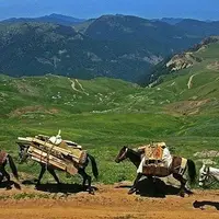 آغاز بهسازی مسیر عشایری پاچ‌کولا در لالی