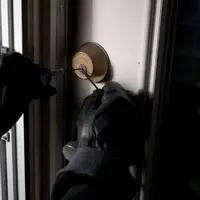 سارق عجیبی که با خودرو میلیاردی دزدی می‌کرد