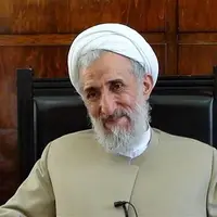 سخنگوی قوه قضاییه: هیچگونه تقصیری متوجه «صدیقی» در پرونده پسرش نیست
