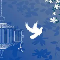 جوان تبریزی با هدیه تولد خود ۲۰ زندانی غیرعمد را آزاد کرد