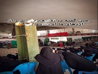 تو یکی از مراسم های تعزیه بجای شیر از اژدها استفاده کردن! 