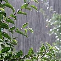 پیش بینی رگبارهای پراکنده در کردستان