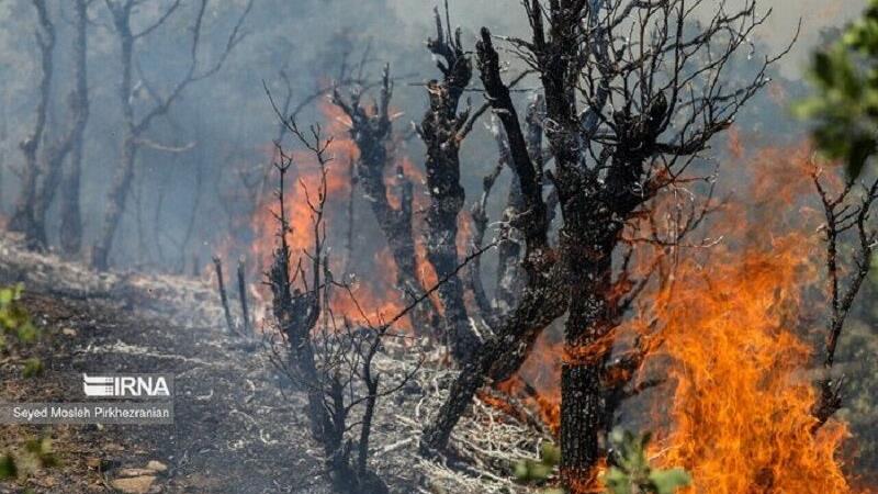 دامن زدن باد شدید به آتش‌سوزی در عرصه‌های طبیعی کردستان؛ ۹۶۲ هکتار جنگل و مرتع سوخت