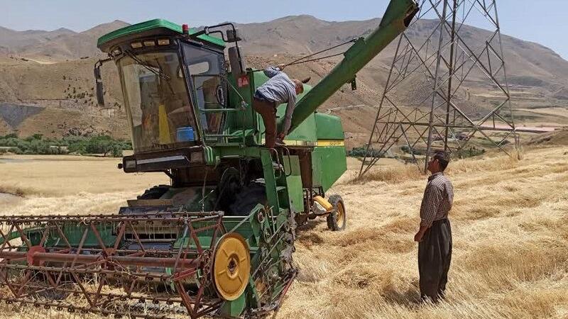 خرید تضمینی گندم در کردستان از ۱۲۷ هزار تن گذشت