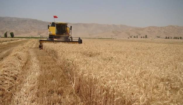 نماینده مجلس: مابقی مطالبات گندمکاران خوزستانی هرچه سریع‌تر پرداخت شود