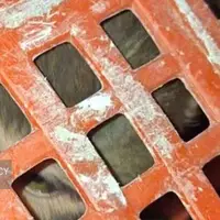 کشف توله میمون‌های کمیاب در ورامین؛ مقابله با قاچاق گونه‌های نادر