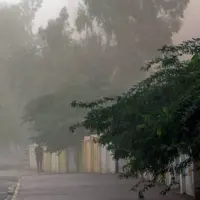 تندبادهای شدید کردستان را در بر گرفت؛ خطر آتش‌سوزی در ۴ شهرستان