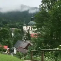  تصاویر زیبای طبیعت به همراه صدای دلپذیر پرنده ها 