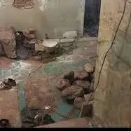 جزئیات جدید از حفاری شبانه در امامزاده عبدالله(ع)‌