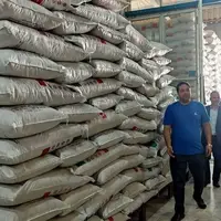 عرضه یک‌هزار تن برنج درجه یک پاکستانی در مشهد‌‌ آغاز شد