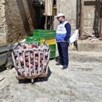 معدوم سازی ۵۰۳ کیلوگرم گوشت ران گاوی منجمد آلوده در بیرجند