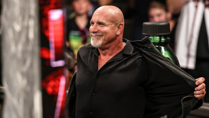 گلدبرگ: حرکت اسپیر در WWE برای کمرنگ کردن من تکرار شد