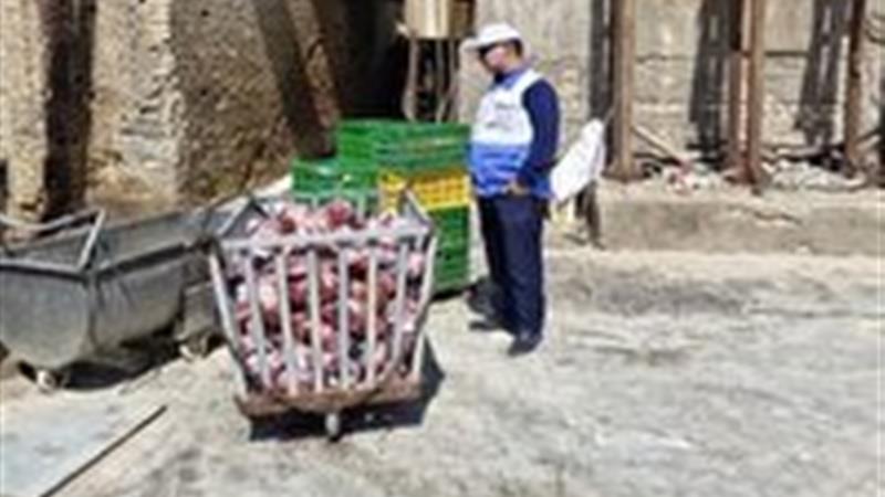 معدوم سازی ۵۰۳ کیلوگرم گوشت ران گاوی منجمد آلوده در بیرجند
