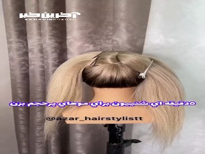 یک شینیون خاص برای موهای پرحجم