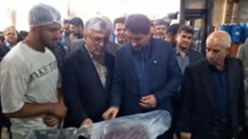 بازدید استاندار کردستان از واحدهای تولیدی شهرستان دهگلان