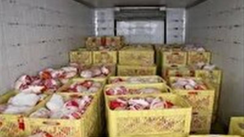مرغ‌هایی که به مقصد نرسیدند