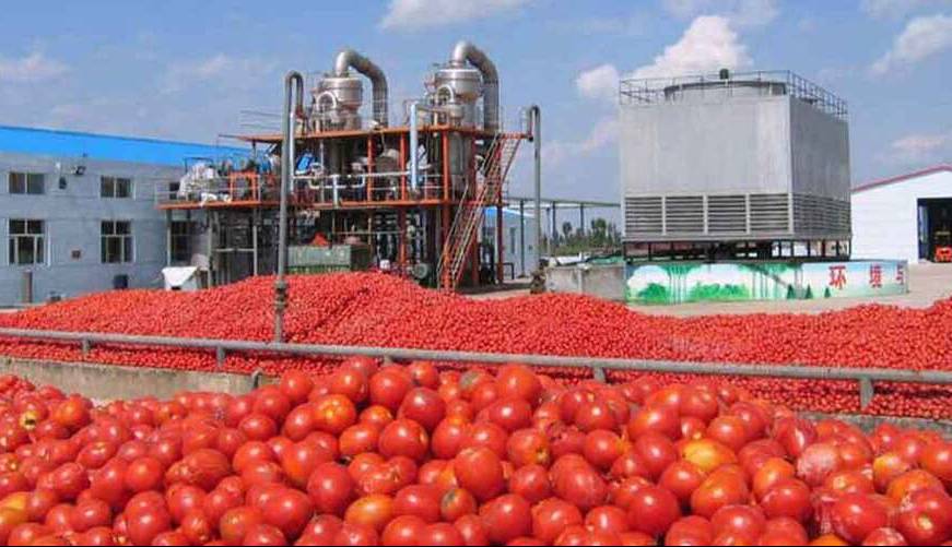 جریمه سنگین برای شرکت پخش رب گوجهفرنگی در بندرعباس