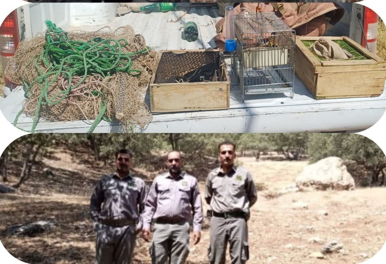 دستگیری صیادان غیرمجاز پرندگان زینتی در خرم‌آباد