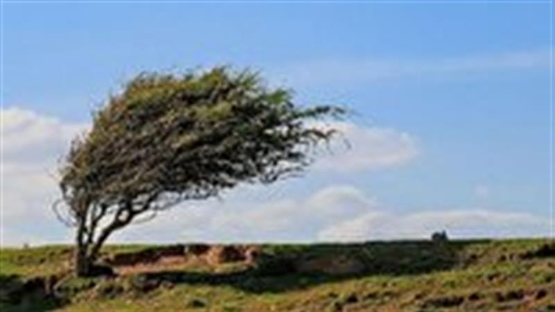 هشدار سطح زرد گردوخاک و رگبار پراکنده در البرز
