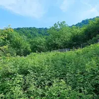 هوای مازندران از فردا آفتابی و گرم