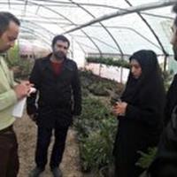 ایجاد هزار و ۶۷ شغل به همت بسیج سازندگی خراسان‌شمالی