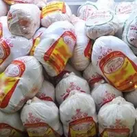 کشف بیش از ۸ هزار کیلوگرم گوشت مرغ در شهرستان دلفان