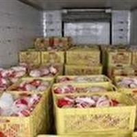 مرغ‌هایی که به مقصد نرسیدند