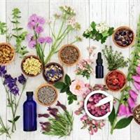 گیاهان پر خاصیت فرصتی برای سلامتی و مداوا
