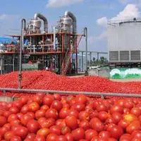 جریمه سنگین برای شرکت پخش رب گوجه‌فرنگی در بندرعباس
