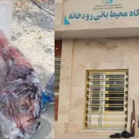دستگیری متخلف شکار و صید در بخش رودخانه رودان