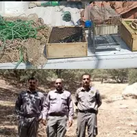 دستگیری صیادان غیرمجاز پرندگان زینتی در خرم‌آباد