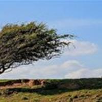 هشدار سطح زرد گردوخاک و رگبار پراکنده در البرز