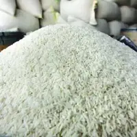 واردات برنج در فصل برداشت خلاف قانون است
