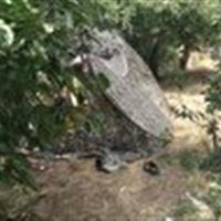 گازگرفتگی موجب فوت دو نفر در روستای خوران شد