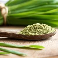 اثبات خواص افزایش طول عمر و ضد پیری جوانه گندم