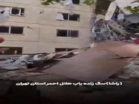 مهارت‌های «راشا» سگ زنده‌یاب هلال احمر در جریان جنگ ١٢ روزه