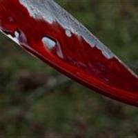 وقوع جنایت خانوادگی در شاهرود