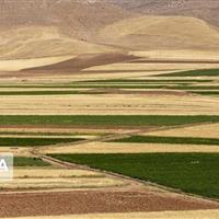 سند دار کردن اراضی کشاورزی قم به سرعت پیش‌ می‌رود