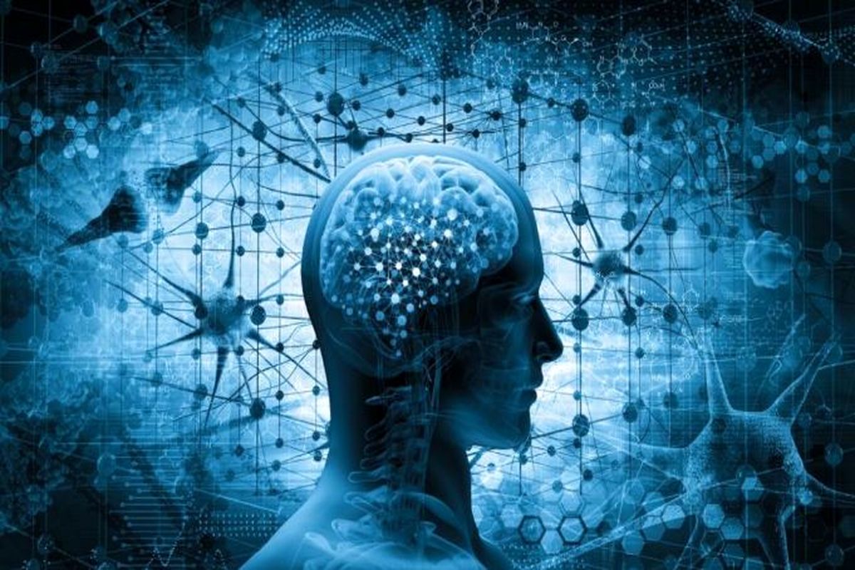 آیا امکان بازیابی خاطرات مغز انسان پس از مرگ وجود دارد؟