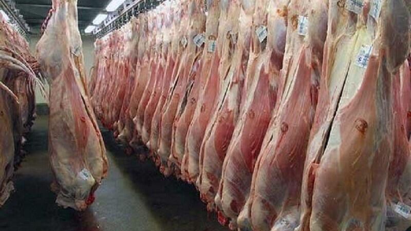 سایه سنگین بیماریهای دامی بر سلامت مردم؛ آموزش، حلقه گمشده پیشگیری