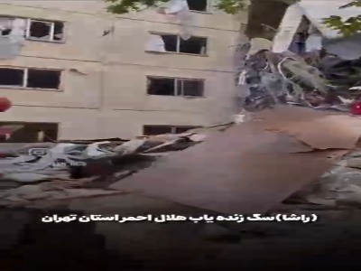 مهارت‌های «راشا» سگ زنده‌یاب هلال احمر در جریان جنگ ١٢ روزه