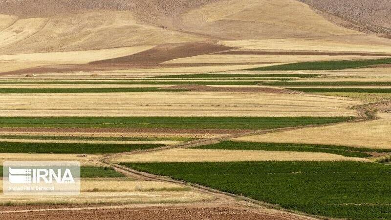 سند دار کردن اراضی کشاورزی قم به سرعت پیش‌ می‌رود