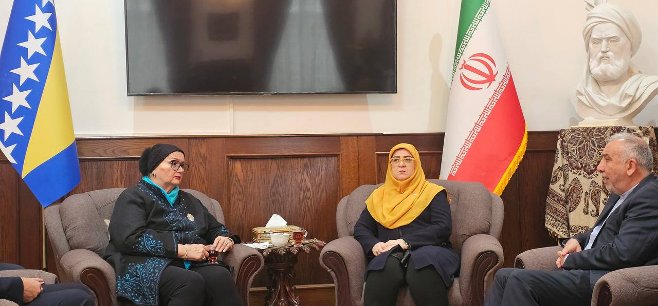 دیدار سخنگوی دولت ایران با وزیر خارجه پیشین بوسنی 