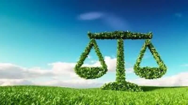 حکم سبز قاضی برای متخلف زیستمحیطی در لرستان