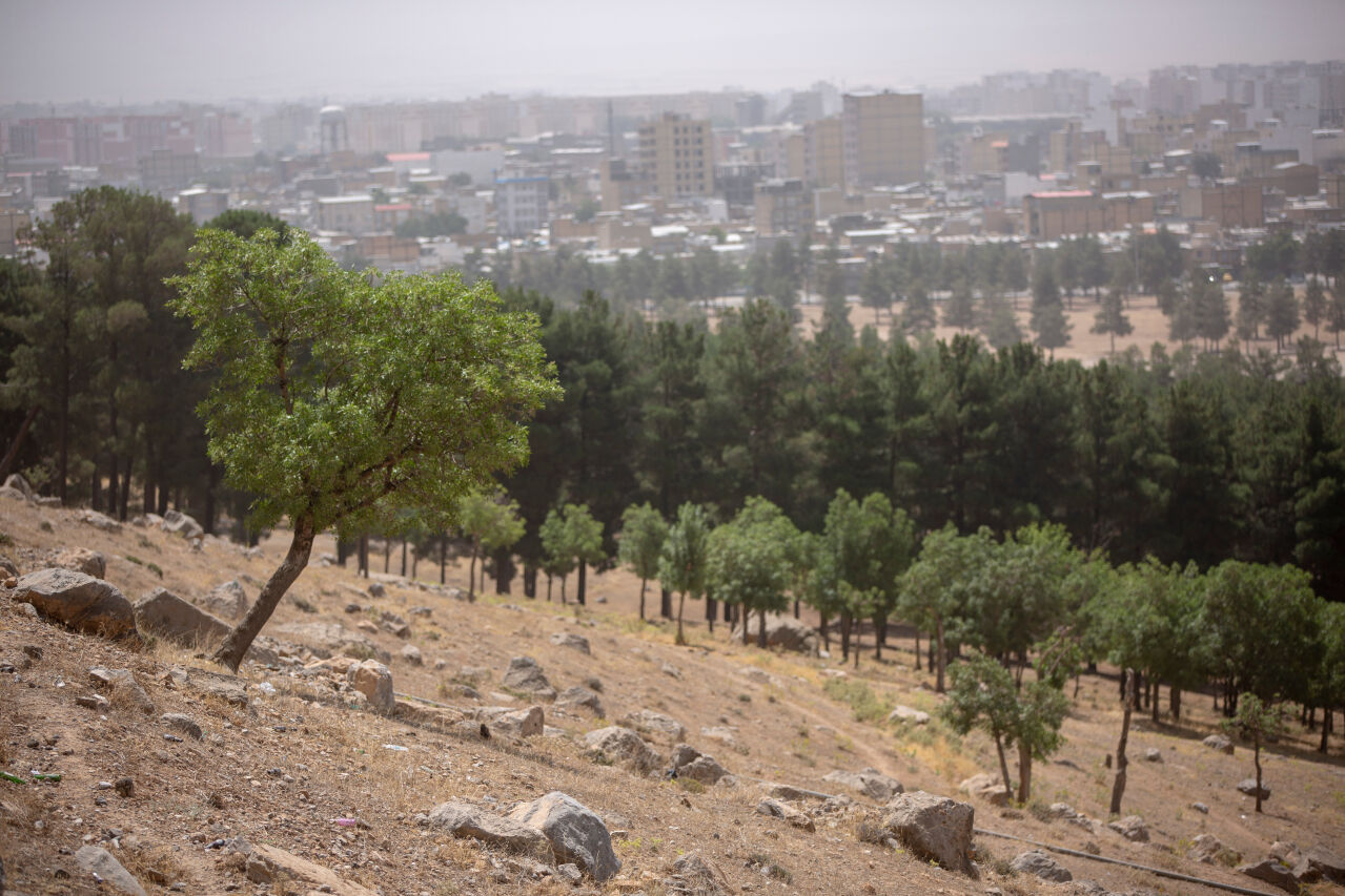 هواشناسی کرمانشاه نسبت به وزش باد و گردوغبار هشدار داد