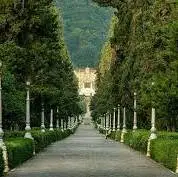 یکی از زیباترین خیابان‌های ایران