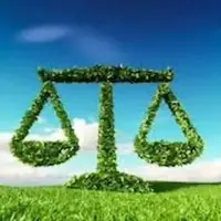 حکم سبز قاضی برای متخلف زیست‌محیطی در لرستان