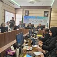 پیوستن حدود ۷۰ درصد از مودیان مالیاتی به سامانه فاکتور الکترونیکی