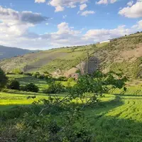 هوای گیلان تا پایان هفته گرم و شرجی است